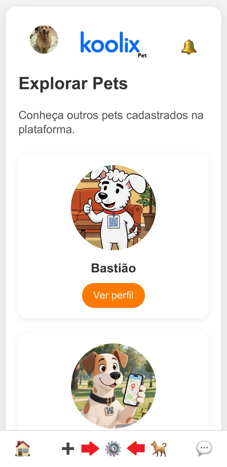 Tela Meus Pets com botão Configurar Comunidade Koolix Pets