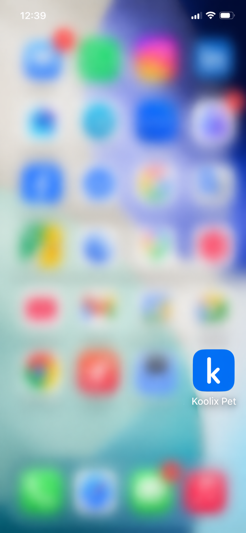 Tela do celular com destaque para o ícone Koolix Pets
