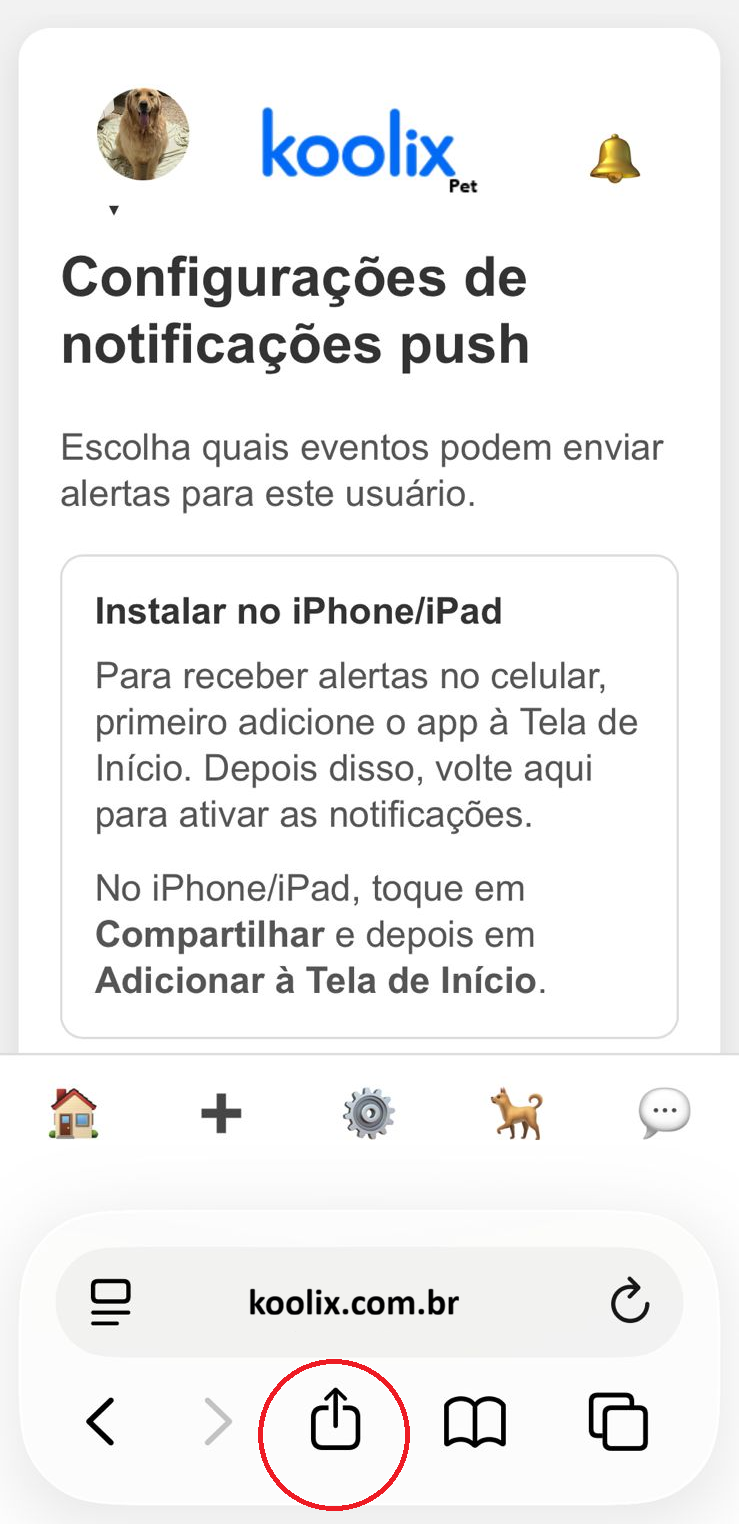 Tela do Safari destacando o botão Compartilhar