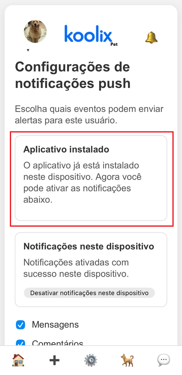 Página indicando aplicativo instalado e notificações disponíveis