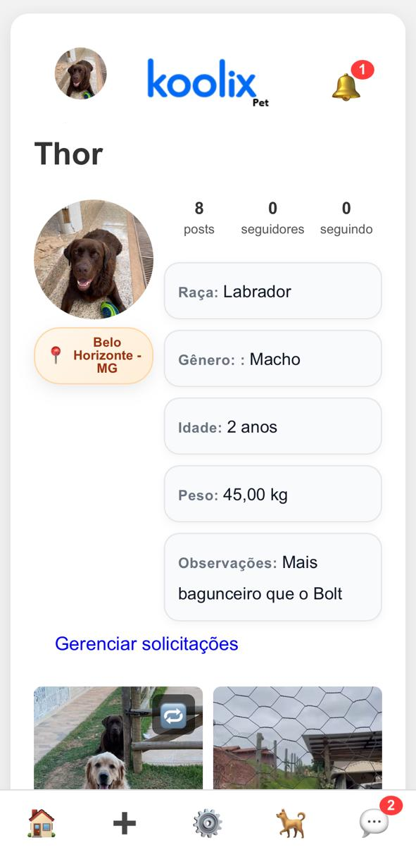 FUncionalidade Perdi meu Pet